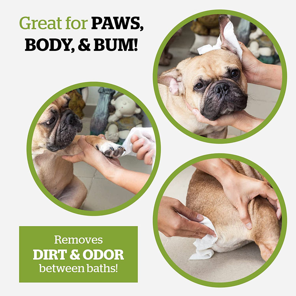 Pogi’S Dog Grooming Wipes – Hypoallergenic Pet Wipes for Paws, Body & Butt – Cleaning & Hydrating, Fragrance Free, 400 - Count - GlowHaze Beauty